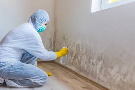 Best Commercial Mold Inspection  in Triangle, VA